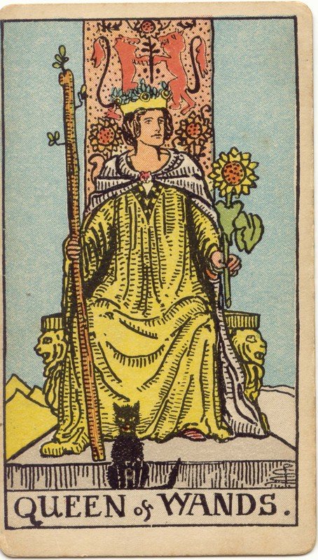 Rainha de Paus do Rider–Waite–Smith: mulher coroada no trono, com um bastão e um girassol, e um gato preto aos pés.